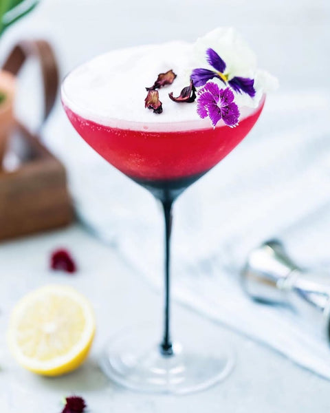 Hibiscus Gin Sour with Campari Foam