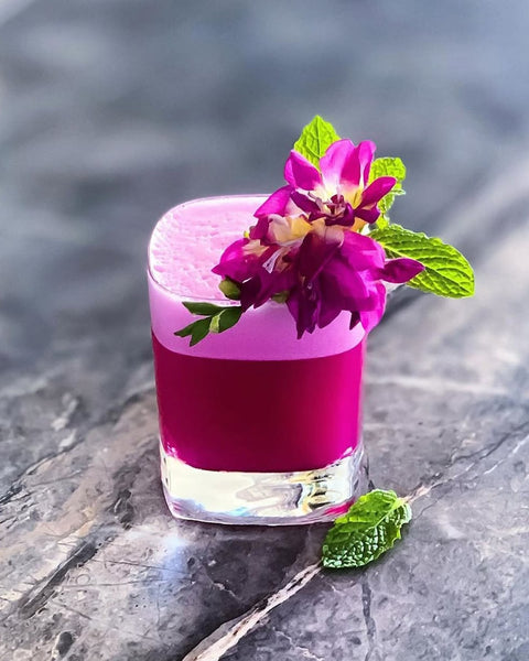 Lady Magenta