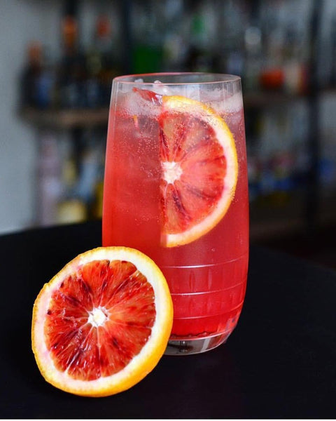 Scorched Paloma