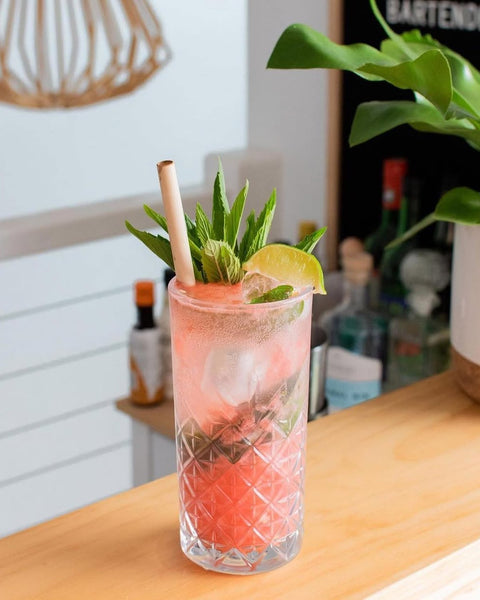 Watermelon Mojito