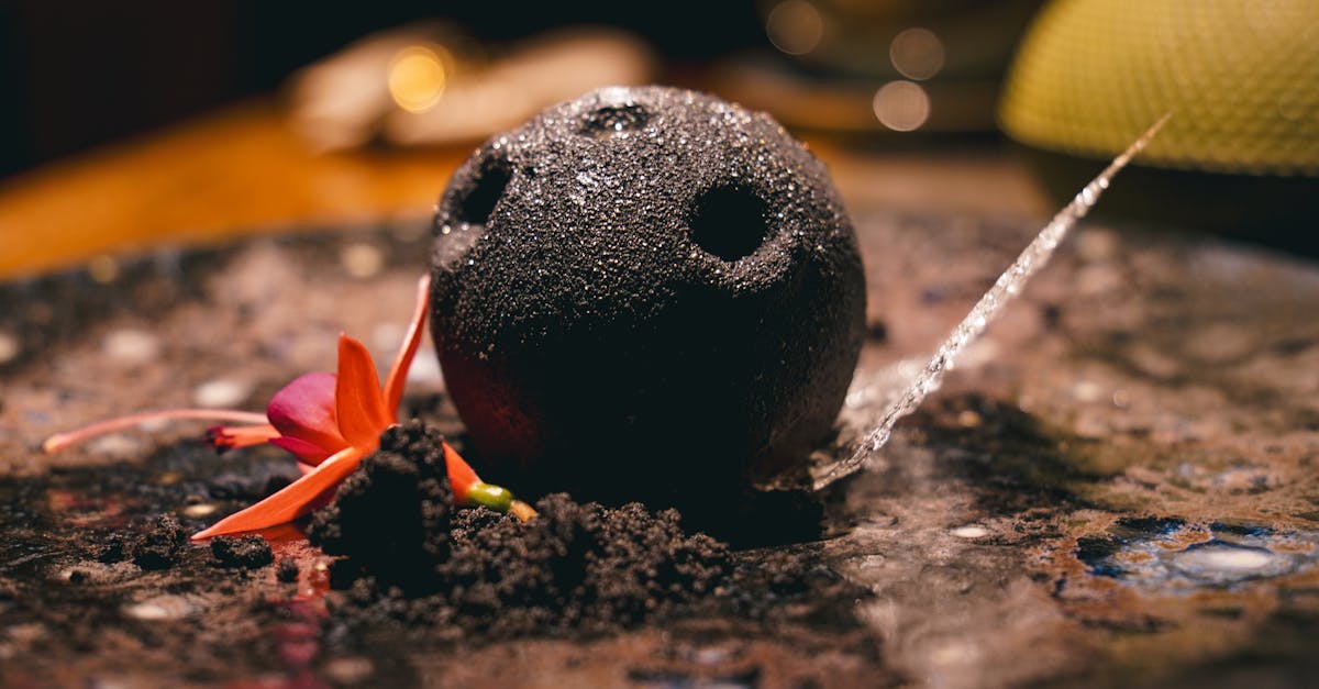 Turn Dessert Into Dollars: 7 Proven Upsells Your Team Can Offer Tonight