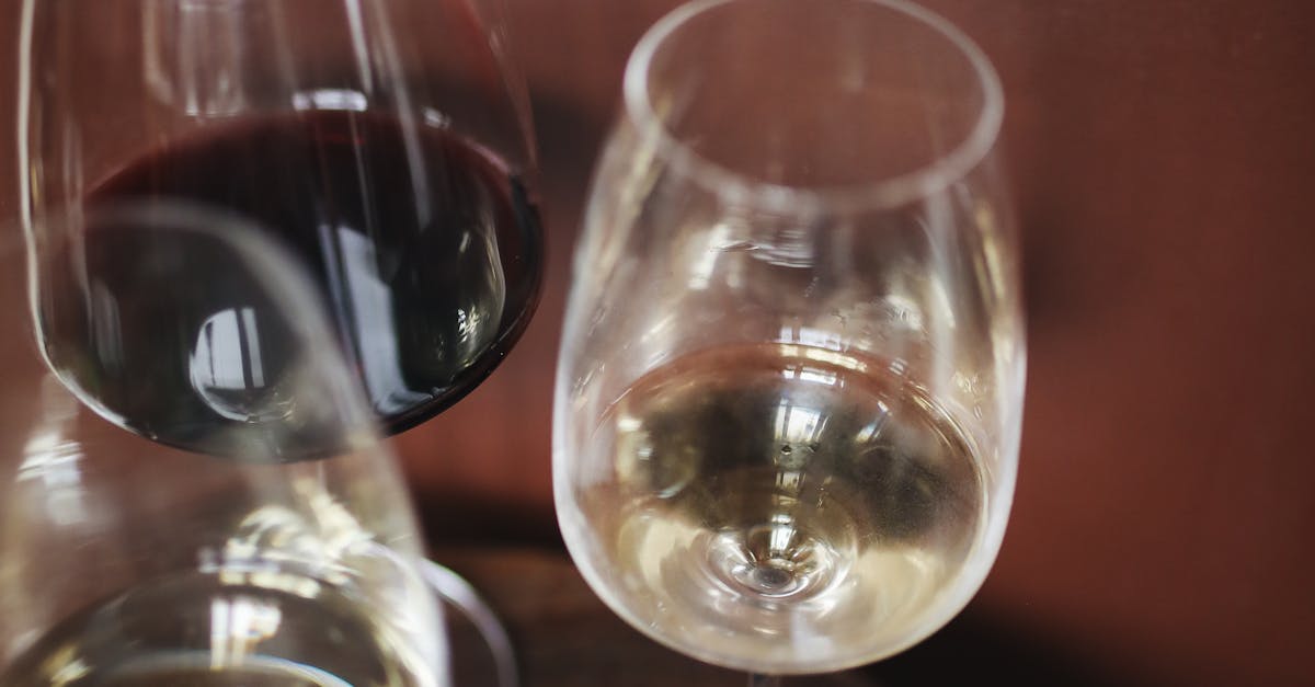 By‑the‑Glass Winners for Queensland Summer: Sauvignon Blanc, Rosé and Chillable Reds