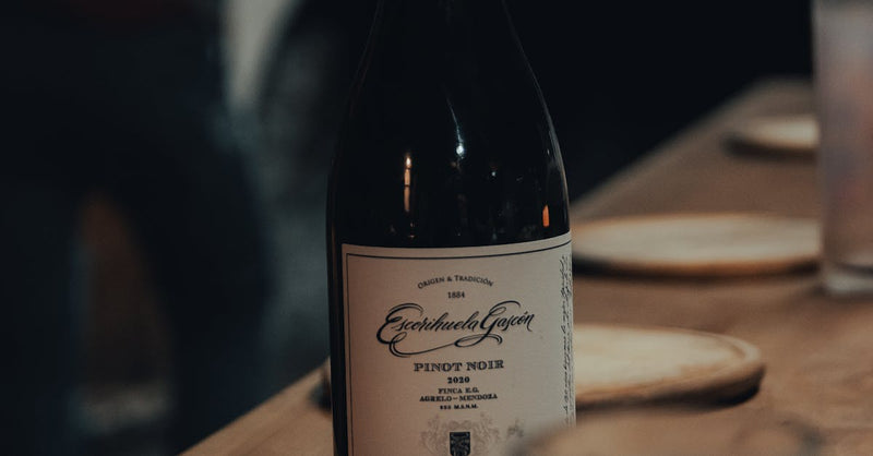 Tasmanian Pinot Noir: Expanding Your By-the-Glass Program with Site-Driven Cool Climate Reds