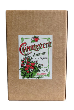 Dolin Chamberyzette Aperitif a la Fraise 16% 5000ml