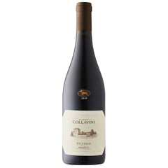 Collavini Refosco dal Puduncolo Pucino Friuli DOC 2021