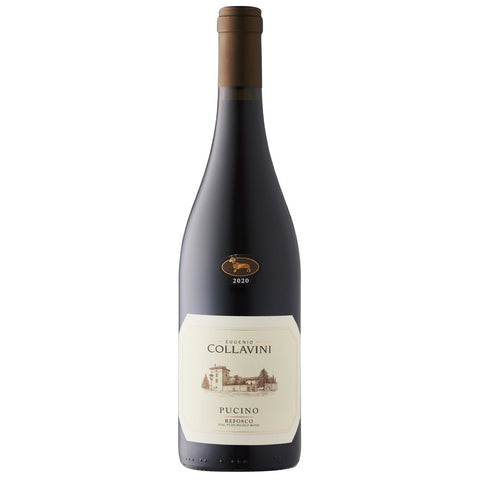 Collavini Refosco dal Puduncolo Pucino Friuli DOC 2021