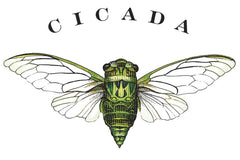 Cicada Pinot Noir 2025
