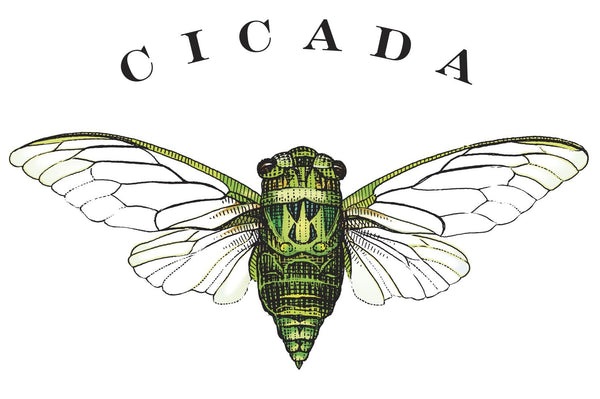 Cicada Pinot Noir 2025