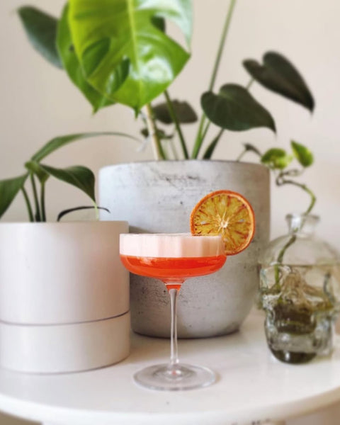 Aperol Sour
