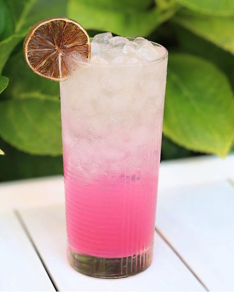 Desert Mule