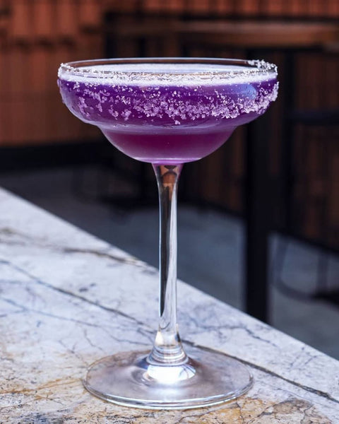 Margarita Viola