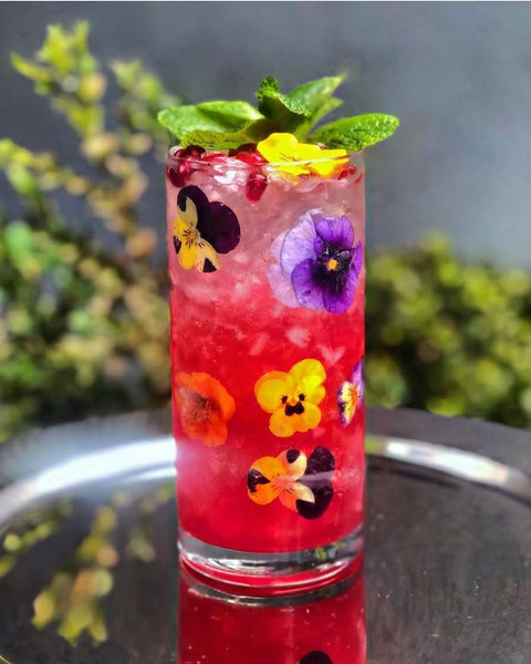 Pomegranate G&T
