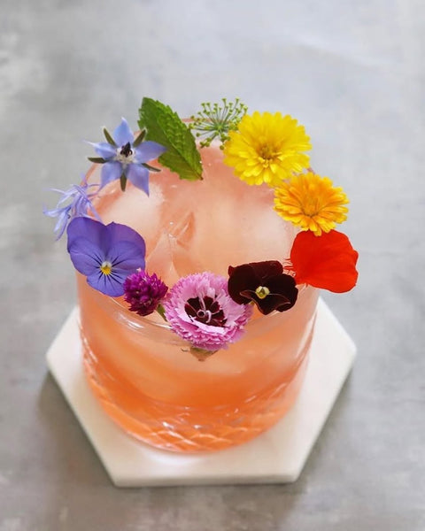 Pride Punch