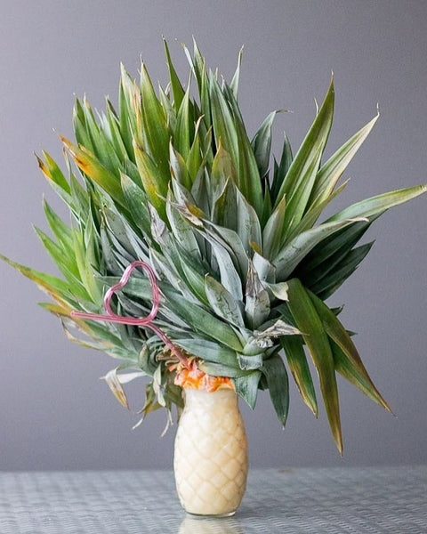 THAT's not a pineapple. THIS is a pineapple - Piña Colada