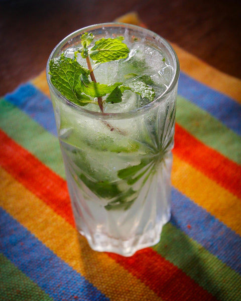 Saint James Vermouth Mojito