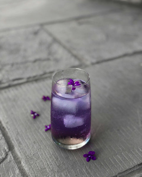 Blanche Violette