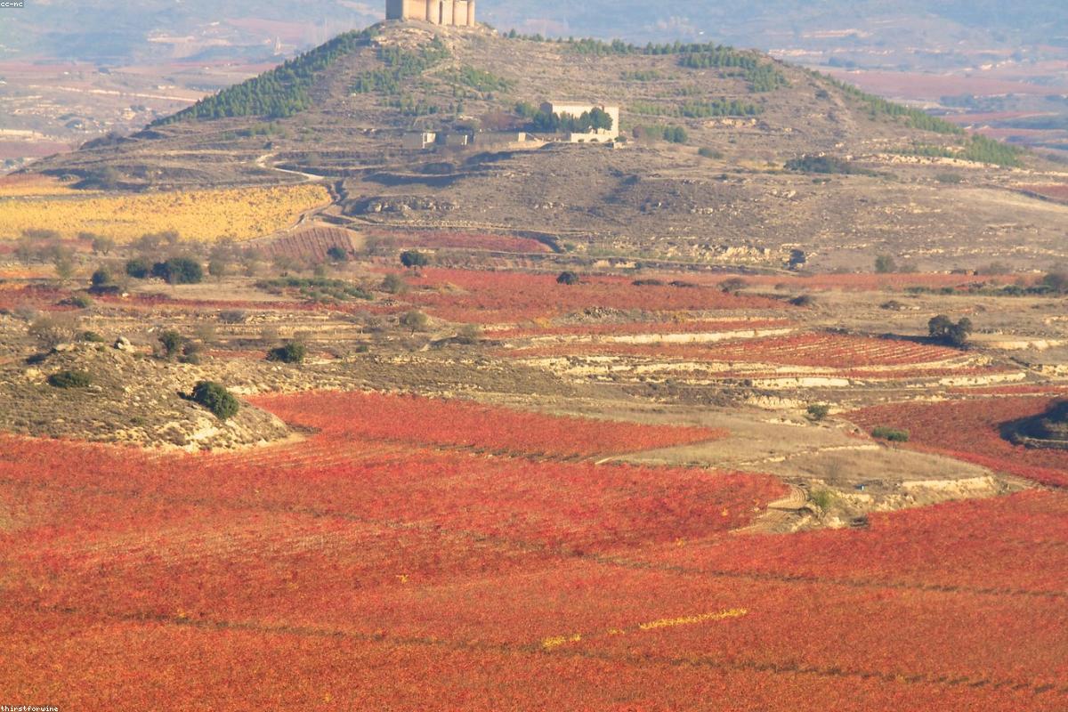 Spanish Wines